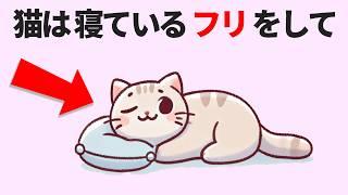 かわいい猫の豆知識20選！おもしろ雑学 #雑学 #豆知識 #トリビア