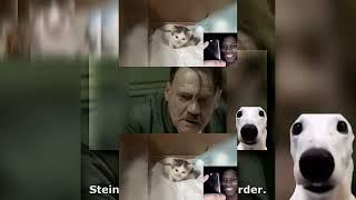 YTPMV German Cat Original vs Meme Vs Original audio️ Scan