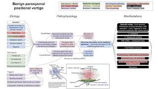 Benign paroxysmal positional vertigo (BPPV) (mechanism of disease)