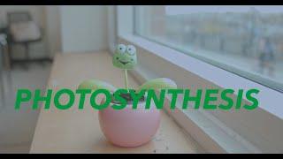 PHOTOSYNTHESIS Song (Music Video)