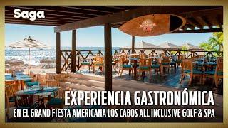 La MEJOR COMIDA de LOS CABOS la encuentras aquí