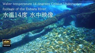 Enbara River Healing underwater video + underwater sound