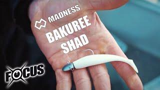 MADNESS BAKUREE SHAD