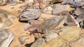 Walking to Little Beach in the Bouddi National Park