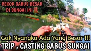 Akhirnya Dapat Gabus Besar || Casting Ikan Gabus Sungai