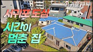 [서귀포부부 임장다큐] 미스터션샤인 in 제주 #채널서귀포부부 #제주도임장여행