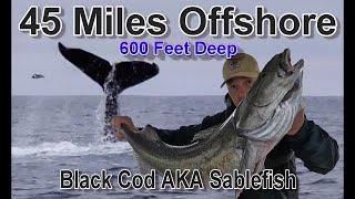 The Most Delicious Fish On The Planet