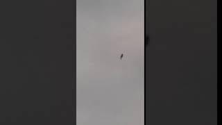 Humanoid UFO? - Sta. Rosa Laguna | Philippines