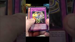 Unbelievable Yu-Gi-Oh! Maxx C Pull! Will it Return From The Banlist?