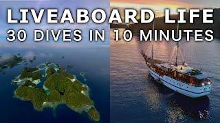 Liveaboard in Raja Ampat. 10 Minutes in The Last Paradise