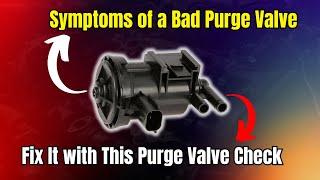 Symptoms of a Bad Purge Valve | Fix It with This Purge Valve Check |