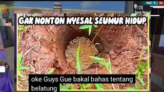 OH JADI INI BELATUNG YG LAGI VIRAL DI TIKTOK YG NGGAK TAU BOLEH MAMPIR