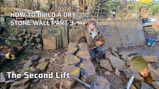 How to Build a Dry Stone Wall Part 3 :  The Second Lift