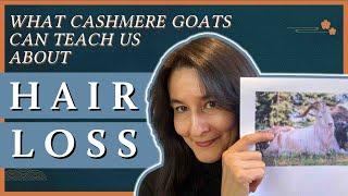 What Cashmere Goats Can Teach Us About Hair Loss