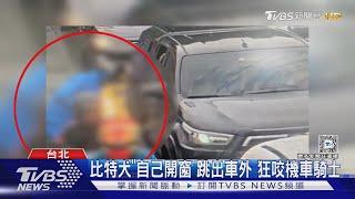 比特犬「自己開窗」跳出車外 狂咬機車騎士｜TVBS新聞 @TVBSNEWS01