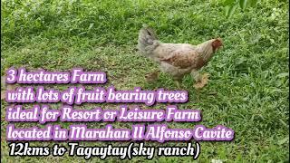 3 hectares Farm land in Alfonso Cavite