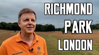 Interview with the most INSPIRING Volunteer Ranger of Richmond Park London