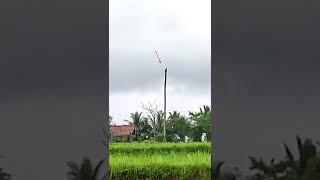 dahsyat nya bekas sambaran petir  pohon kelapa ini hanya tersisa batang nya saja#shrots