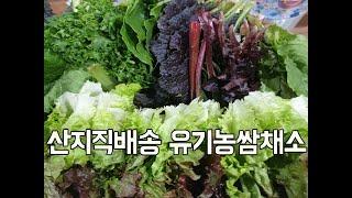 농장직배송 유기농 쌈채소 양도많고 종류도 많다