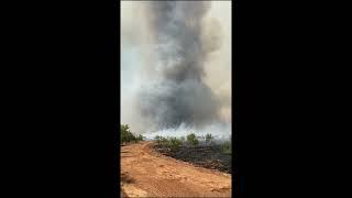 Huge 'Smokenado' Swirls Above Waggoner Ranch