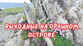 ВЫХОДНЫЕ С ДРУЗЬЯМИ НА ОСТРОВЕ АКИЛЛ (2)  ACHILL ISLAND WEEKEND (2)@Amond