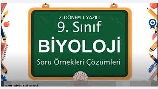 9Biyoloji 2.dönem1.yazılı hazırlık soruçözüm MEB Maarif soru çözümleri