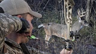 Trailer Park Trouble Hunting Deer in Arkansas