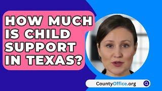 How Much Is Child Support in Texas? - CountyOffice.org