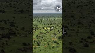  اصنع فرصتك بيدك: لا تنتظرها!