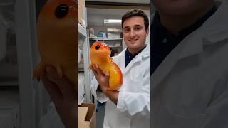 Как создавать такие видео мы учим в нашем творческом клубе, ссылка в шапке профиля. #нейросеть