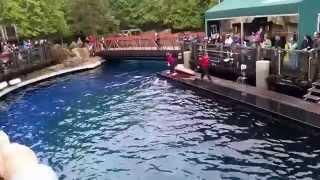 Vancouver Aquarium - Dolphin Show