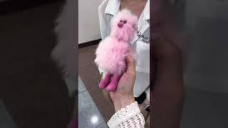 #경복대학교 #치위생학과 #23학번 의 #고등학교생활