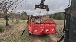 Rotobec grapple saw taking a tree apart