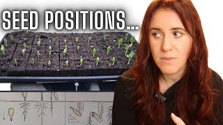 Why Seed Positioning in Soil Matters | Improve Germination & Growth