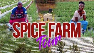 What I Learned on My FIRST Spice Farm Tour Will Amaze You