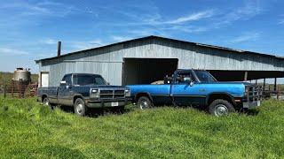 Exploring 2 LOW MILE 1991 W250 and 1992 D250 First Gen Cummins Trucks!