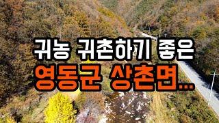귀농 귀촌하기 좋은 영동군 상촌면! feat.첼리팜스토리[영동NEWS]