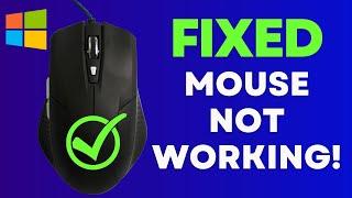 Solved! Fix Connected Mouse or Laptop Trackpad Not Working in Windows 10/11