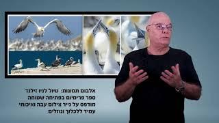 סריקת תמונות והפקת אלבום תמונות