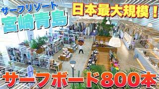【潜入捜査開始】超レア、超人気、超最新のサーフボードが総勢800本！日本最大規模の店舗がついにグランドオープン！