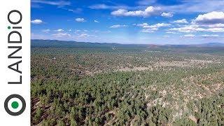 SOLD • Land in New Mexico • 11 Acre Mountain Homesite in the Cibola National Forest