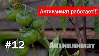 Антиклимат работает! Но это не точно....