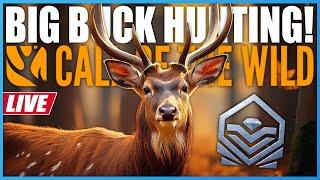 NEW Diamond Grind! Let's Hunt! | theHunter Call Of The Wild