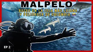 MALPELO  | Buceo en la isla MÁS LEJANA de Colombia ¡Buceamos en una Tormenta ️ y nos rescataron!