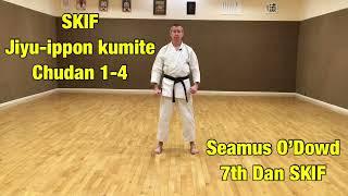 SKIF Jiyu-ippon kumite: chudan 1-4