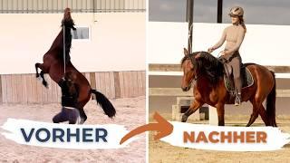 Wie du an Herausforderungen mit deinem Pferd wachsen kannst | KEY TO HORSES