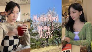 [VLOG] March-April｜행궁동맛집, 제천여행, 벚꽃놀이