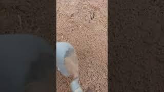 #shorts #viral #trending #videos #editing #anshul #video