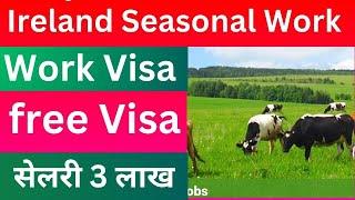 Ireland मा खुल्यो 2025 को लागी | ireland seasonal work visa 2025 | ireland seasonal work visa new