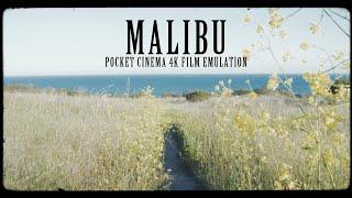 A Trip to Malibu - Blackmagic Pocket Cinema Camera Film Emulation